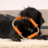 Major Dog Tussle Dummy - Large - Tug Toy - Image 4